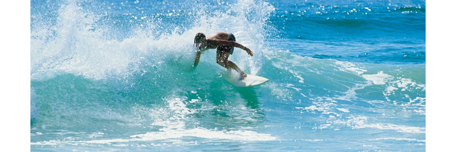 surfing surfing