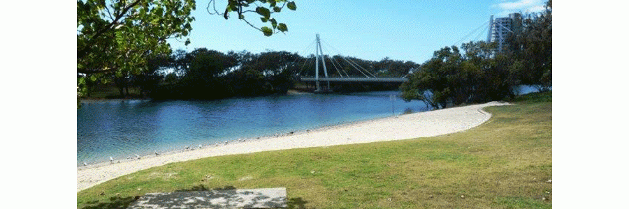 Macintosh Island Park Photo From City Of Gold Coast Macintosh Island Park Photo From City Of Gold Coast