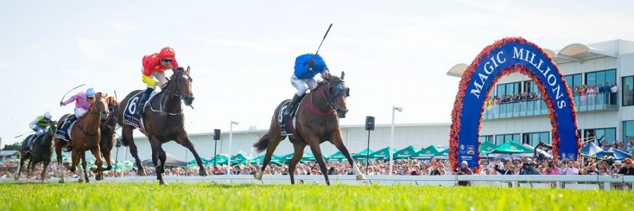 Photo From Magic Millions Website