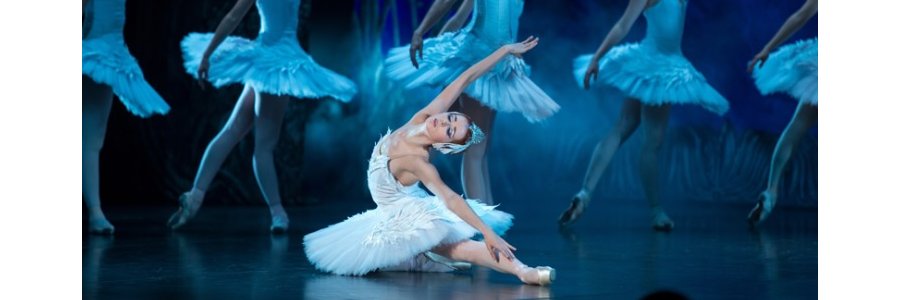 Swan Lake Photo From Hota Website